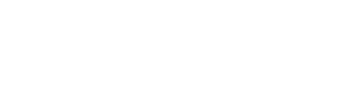 Politika Rakyat