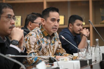 Firnando Ganinduto anggap Revisi UU BUMN terobosan.